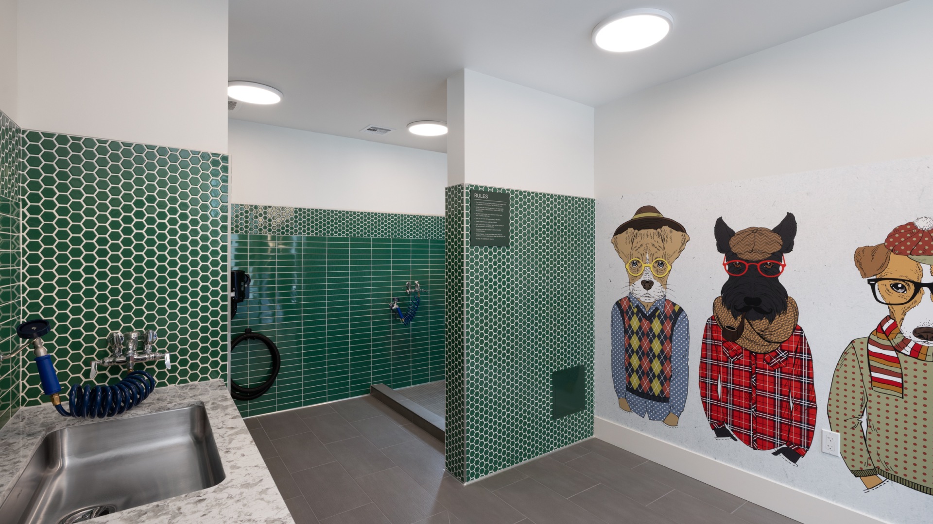 Dog Grooming Station