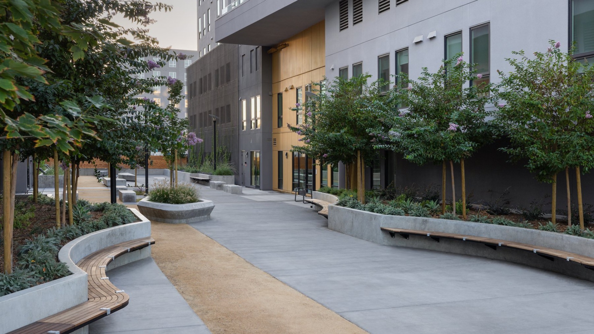 a courtyard pathway with trees